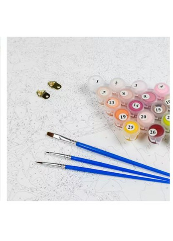 Розмальовка за номерами для дорослих Зоряне небо 40х50см GX47421 Rainbow Art (317590290)