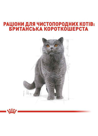Сухой корм British Shorthair Adult для взрослых кошек породы британская короткошерстная 2 кг Royal Canin (278260515)
