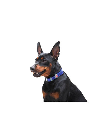 Нашийник для собак шкіряний Classic, Ш 12 мм, Дов 21-29 см фіолетовий WAUDOG (322002713)