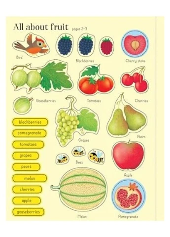 First Sticker Book. Fruit & Vegetables Usborne Publishing (370108841)