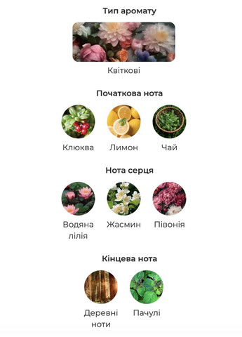 Парфюм мини Givenchy Ange Ou Demon Le Secret, 20 мл No Brand (317044807)