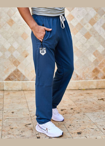 Синие спортивные, повседневный, кэжуал демисезонные прямые брюки No Brand