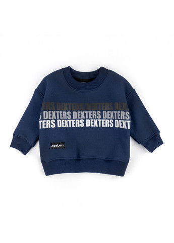 Теплый детский костюм Dexter`s на флисе dexters dexter's (366472315)