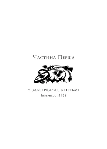 Чужоземка. Книга 2: Бабка в бурштині No Brand (392441299)