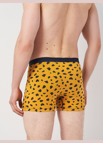 Трусы (3шт) Basic Collection (295079699)