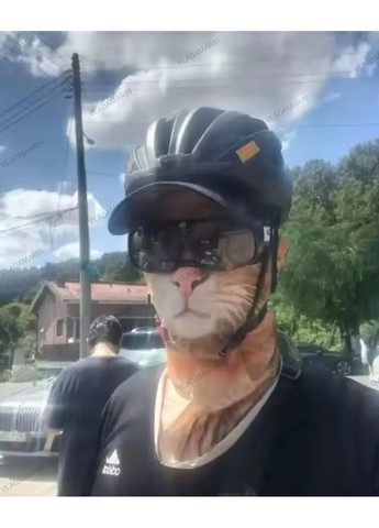 Реалістична маска Рижий Кіт із 3D-друком,балаклава повнолицева з мікрофібри,прикол No Brand (368695228)