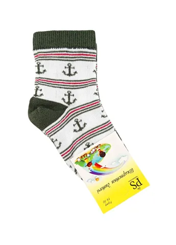 Носки детские демисезонные премиум PS Premier Socks Класичні (395360786)