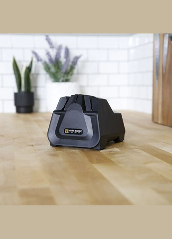 Точильний верстат Work Sharp (353505468)