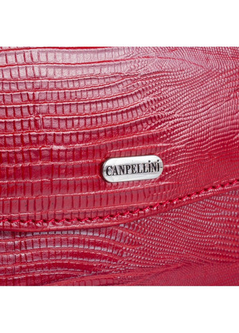 Кошелек женский кожаный 17,8х9,2х1,7 см Canpellini (294188645)