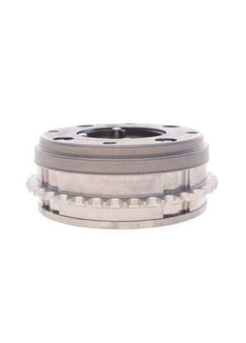 Комплект цепей привода 559 1007 30 Ina (366396272)