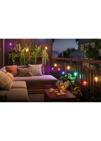 Набор светодиодных ламп H7025 Outdoor Clear Bulb String Lights, 15м, RGBIC/Warm White, WI-FI/Bluetooth, черный Govee (370619028)