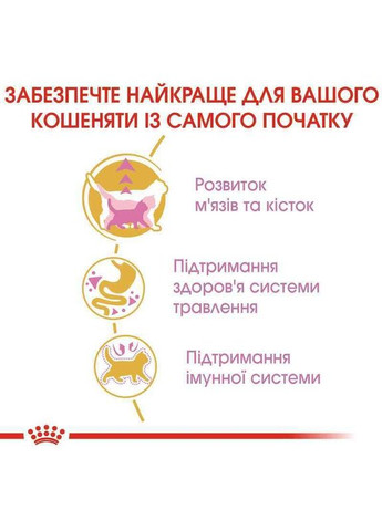 Сухой корм British Shorthair Kitten для котят породы Британская короткошерстная, 400 г Royal Canin (364357221)