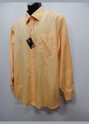 Цветная классическая рубашка No Brand