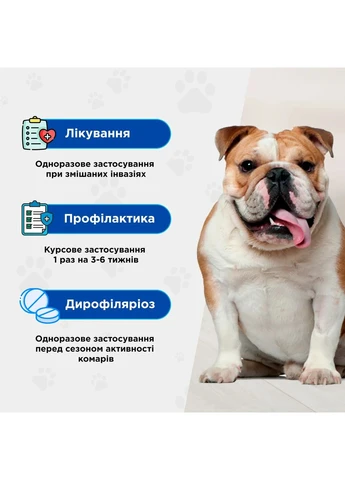 Протипаразитарна таблетка для собак 4-8 кг (від бліх, кліщів, гельмінтів) Квадромідас,, 0,4 г ModeS (384725549)