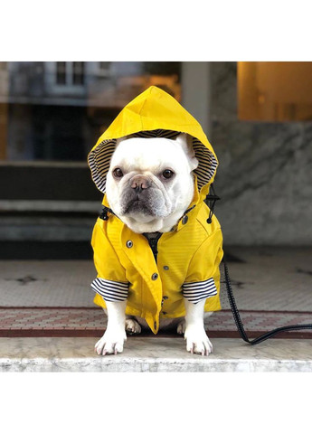 Дождевик для собак с капюшоном XL Желтый No Brand (362136178)