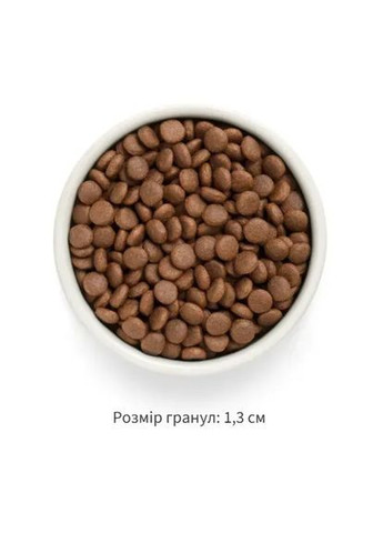 FRESH DOG ADULT MEDIUM & MAXI Salmon & Sweet Potato – лосось и батат для взрослых собак средних и крупных пород Grandorf (362703495)