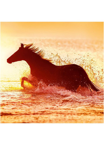 Календарь HELMA 2026 30 х 30 см Horses Helma 365 (361855116)