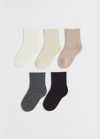 Шкарпетки набір 5 пар. для хлопчика 1075329-005 Різнобарвний H&M (289354044)