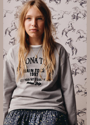 Серый демисезонный праздничный, коктейльный, спортивный, деловой, домашний, пляжный, карнавальный, повседневный, кэжуал, джинсовый, вечерний лонгслив Zara с надписями