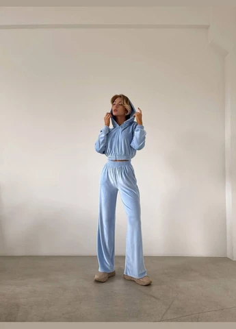 Жіночий велюровий костюм Fashion (303934228)