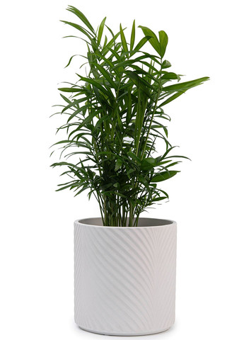 Набор кашпо для цветов elemi Листок керамические 1,3 л 2,3 л 4,3 л белые Мамин Посуд (336213686)