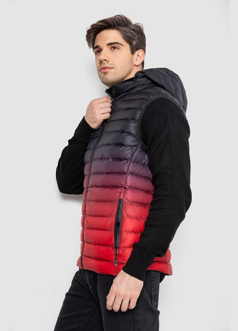 Жилетка чоловіча демісезонна Ager 244RC999 (313862843)