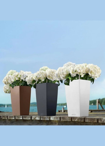 Кашпо Cubico Color 22 6 л 13128 Lechuza (316628037)