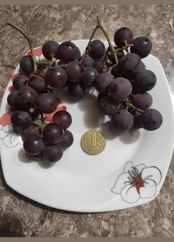 Сік Виноградний натуральний. Ціна за 3л (Ф1439) Фортеця (330626873)