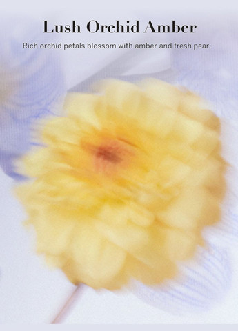 Лосьон для тела Vivid Blooms Fragrance Lotion LUSH ORCHID AMBER, 236 ml Victoria's Secret (289727854)