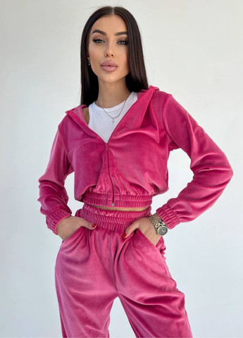 Базовий повсякденний велюровий костюм двійка: вкорочений худі + штани Allthings (321994117)