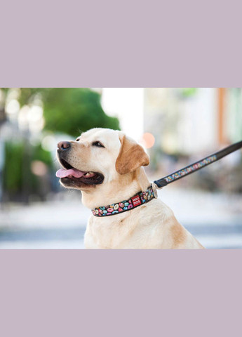 Ошейник для собак кожаный Design с QR паспортом, рисунок "Пончики", XL, Ш 35 мм, Дл 46-59 см, черный WAUDOG (322328063)