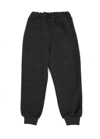 Серые зимние брюки Yuki