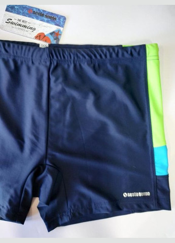 Класичні чоловічі шорти для купання 381 темно-сині Sesto Senso (368787709)