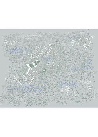 Футболка Steppe Flowers Wmn Серый Turbat (340904903)