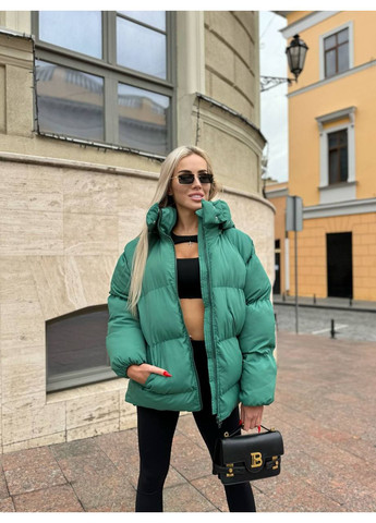 Зеленый зимний Пуховик No Brand
