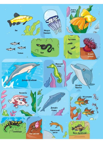 Тваринки під водою Vivat (370060058)