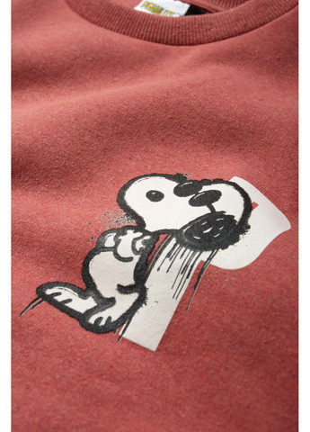 Теракотовий світшот C&A (366474017)