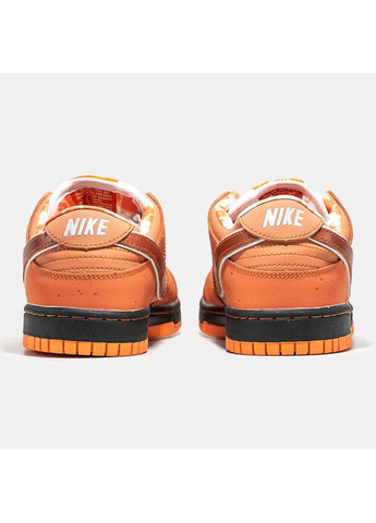 КРОСІВКИ ЖІНОЧІ NIKE CONCEPTS X SB DUNK LOW ORANGE LOBSTER НАЙК No Brand білі демісезони (367167925)
