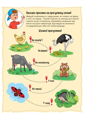 Книга Животные в селе + 32 наклейки Ольга Шевченко Vivat (297847438)