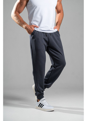 Чоловічі спортивні штани Jogger Petlia 23 Попелясті Teamv (360655632)