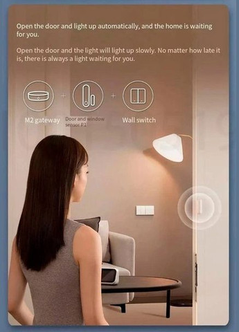 Датчик відчинення дверей і вікна Xiaomi P1 Door Sensor (MCCGQ13LM) Aqara (294754429)