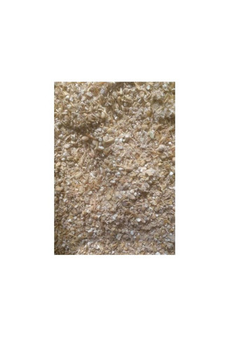 Моховик тріщинуватий (строкатий) - 10 г Насіння країни (328606929)