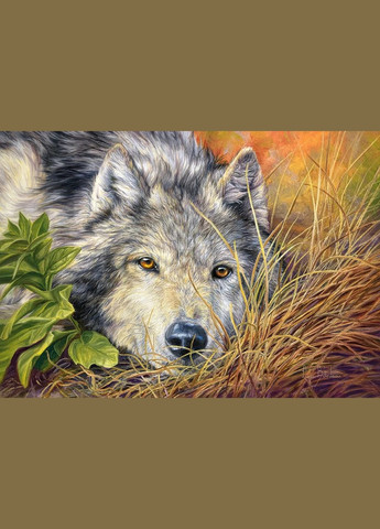 Пазл Вовк 500 деталей Castorland (322927978)