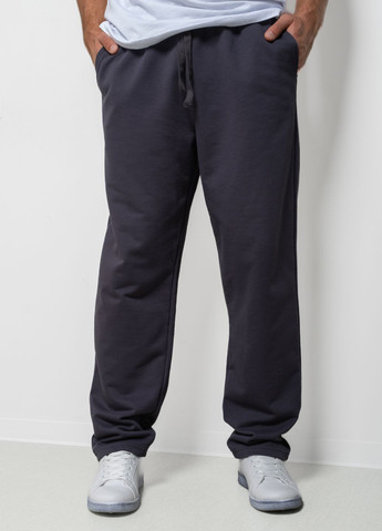 Штани чоловічі 344200 Power (302209540)