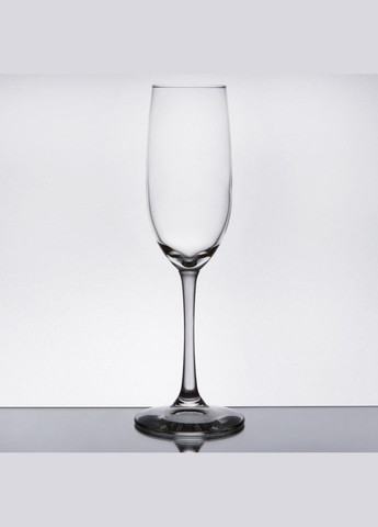 Набор стеклянных бокалов для шампанского Vina 190 мл 6 шт (L1351) Arcoroc (303138195)