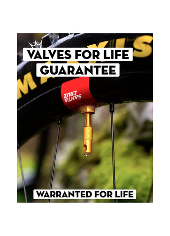 Ниппели x Chris King Tubeless Valves, 42мм Peaty's (362946607)