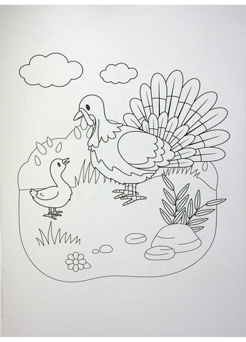 Чарівні фарби розмальовка На фермі Vivat (297514926)