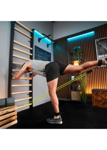 Набір резинок з еспандерами TX-050TSV чорний TREX Sport (372506685)