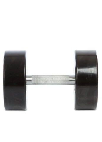 Гантель цельная профессиональная GA80081-30 1шт 30кг Life Fitness (297667803)
