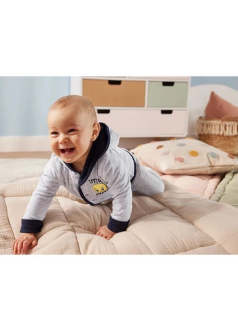 Толстовка на підкладці для хлопчика Looney Tunes 468583 сірий Lupilu (392338918)